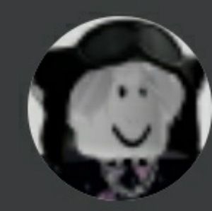 Meet your Posher, Stella